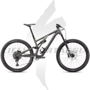 Stumpjumper Evo Comp Alloy