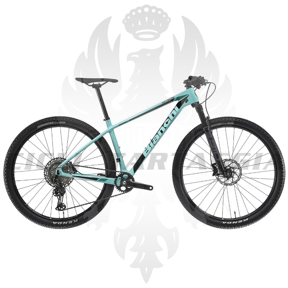 Bianchi Nitron 9.4