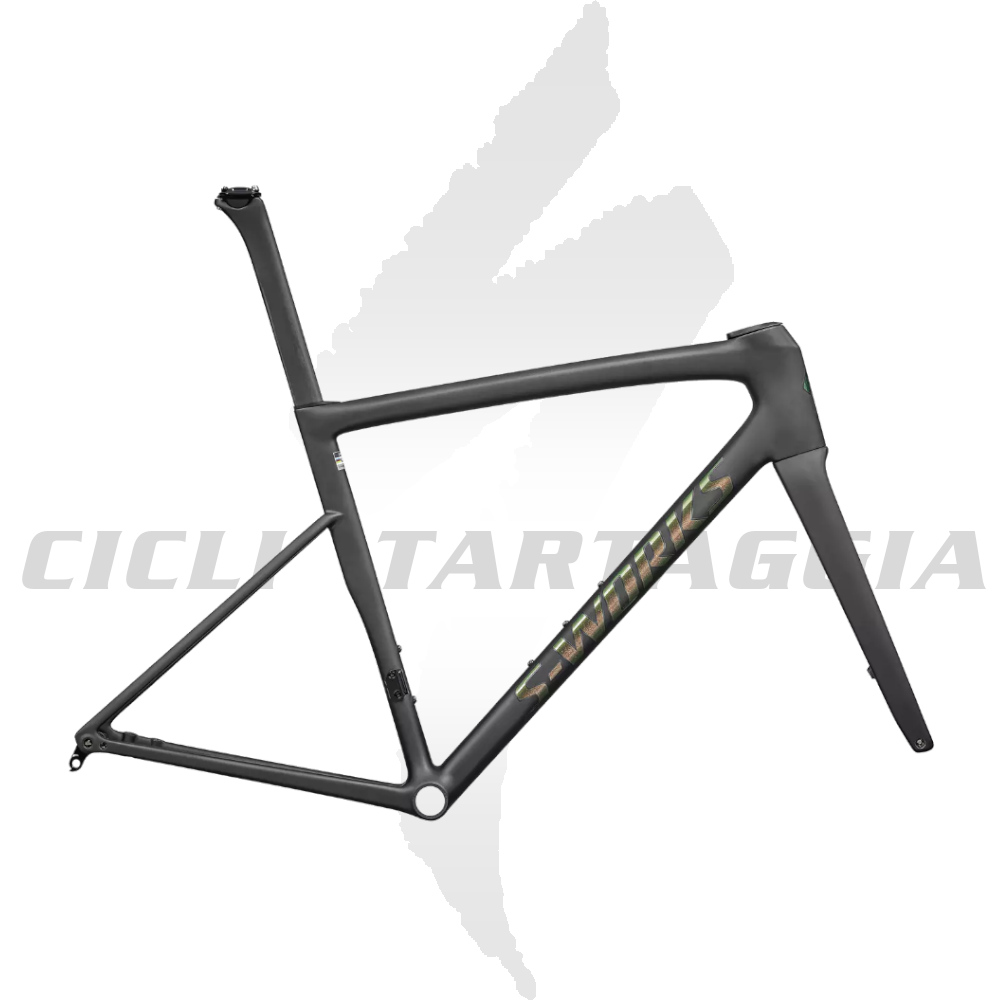 TELAIO SPECIALIZED SL8 RTP