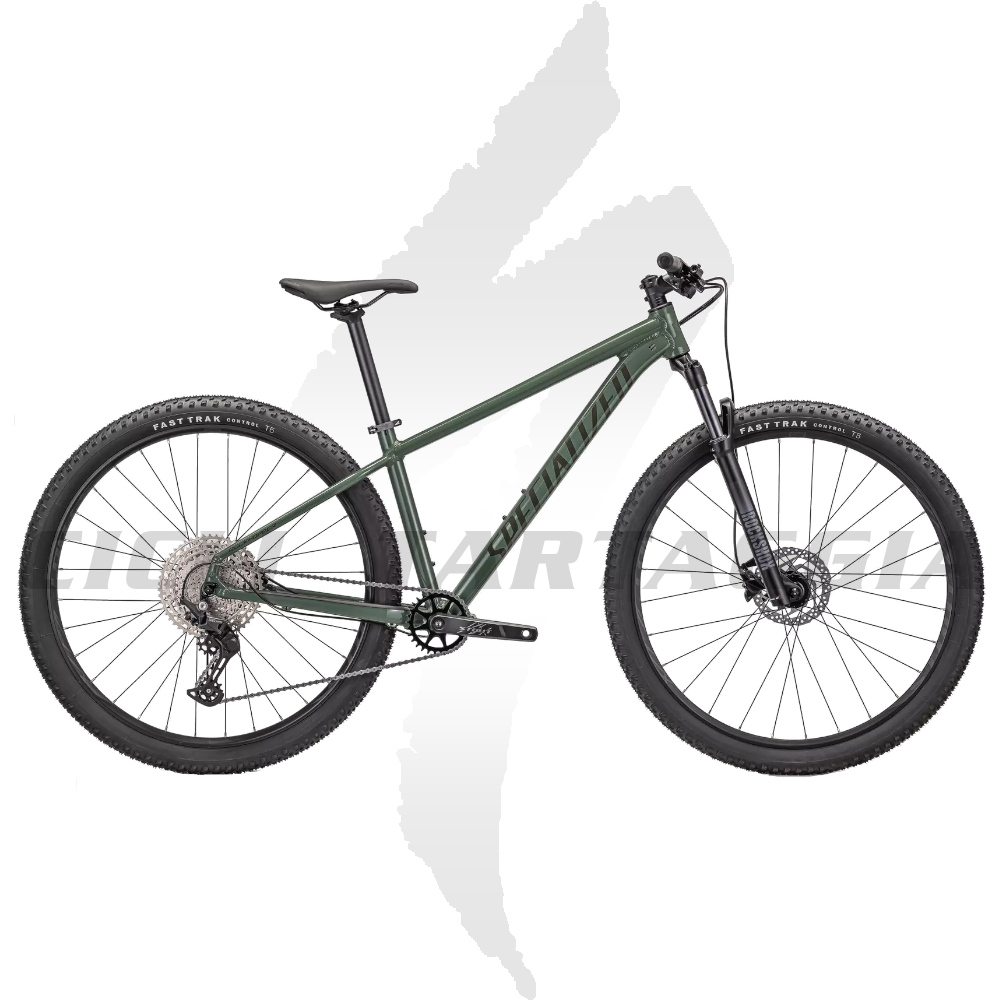 SPECIALIZED ROCKHOPPER ELITE GREEN