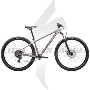 SPECIALIZED ROCKHOPPER SATIN CLAY