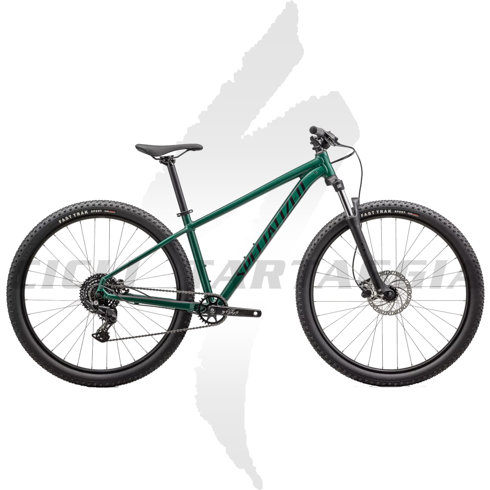 SPECIALIZED ROCKHOPPER GLOSS PINE GREEN